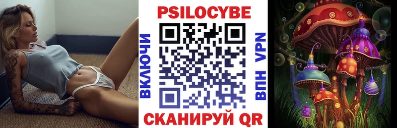 Галлюциногенные грибы Psilocybe  Купить закладки  Фурманов 